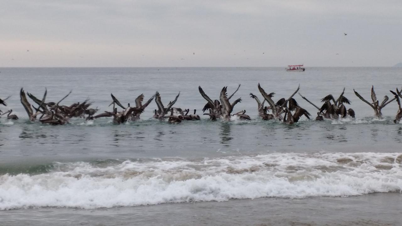 فندق غواناكيروسفي  Cabanas Y Camping Mar Azul المظهر الخارجي الصورة